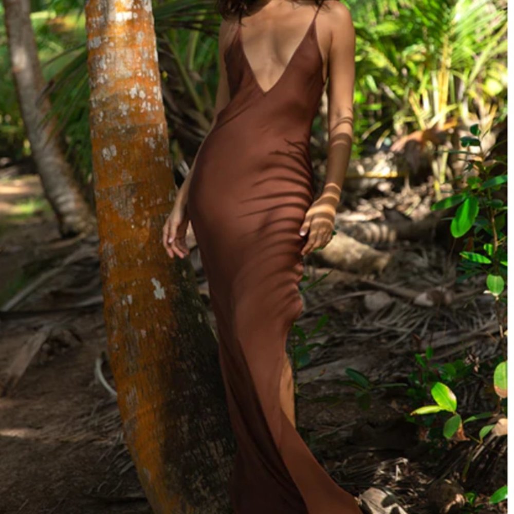 RAT & BOA Cocoa Dress